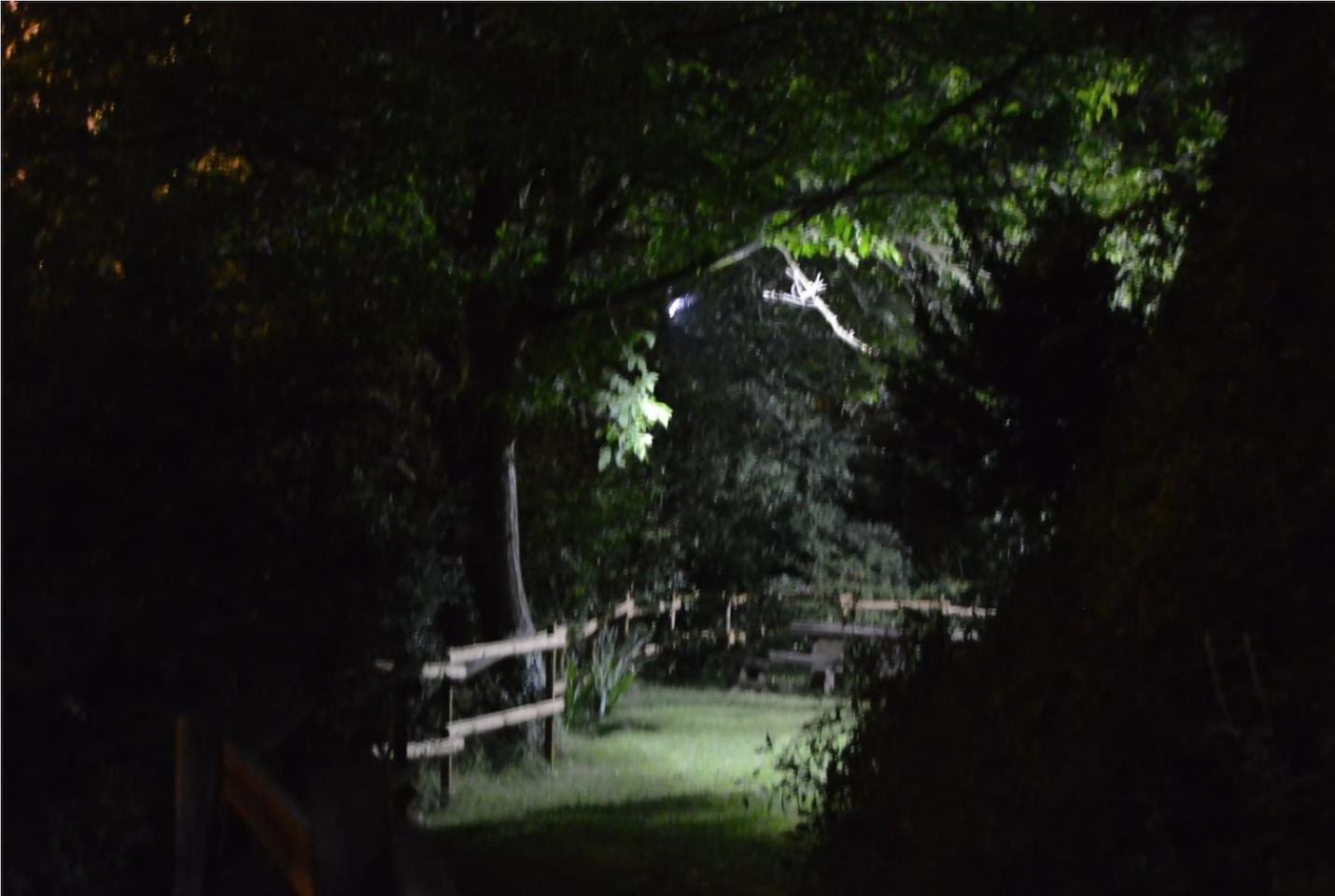 La Vinaza Ordesa Ainsa Casa Rural Laspuña Exteriér fotografie